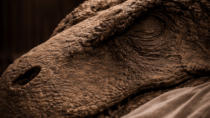 Inside the T. rex - Featured Image - 3