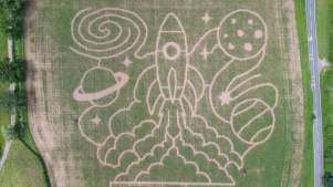 Elton Giant Mazes - Featured Image - 2