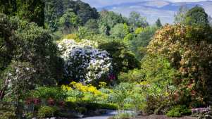 Bodnant Garden - National Trust - Featured Image - 3