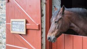 Llanerchaeron - National Trust - Featured Image - 2