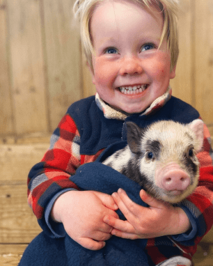 Pennywell Farm