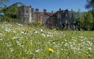 Mottisfont