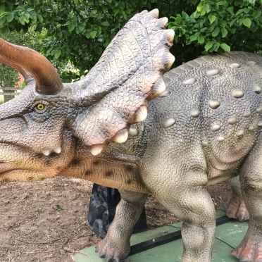 Ark Wildlife & Dinosaur Park
