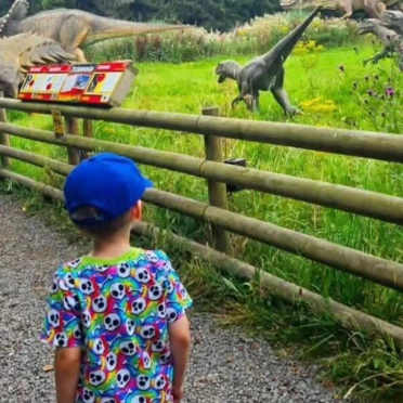 Boy in colourful shirt walks past life-size dinosaur models and information boards along a fenced trail.