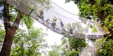 A family walking through a net tunnel at Go Ape Black Park