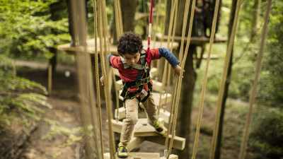 A boy on a walkway at Treetop Trek Manchester