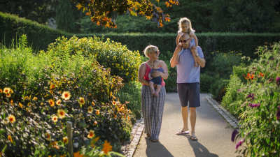 RHS Garden Rosemoor