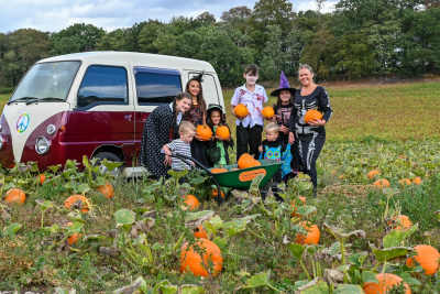 Halloween at Stockeld Park featured image