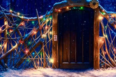 The Secret Forest Christmas Trail featured image