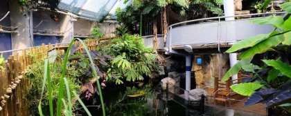 Bristol Aquarium Offer Image