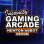 Insanity Gaming Arcade Newton Abbot logo