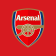 Arsenal Emirates Stadium Tour logo