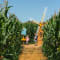 Cowdray's Maize Maze logo
