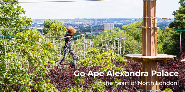A little girl at Go Ape Alexandra Palace