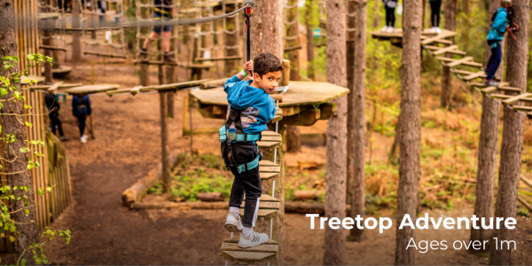 A little boy on the Treetop Adventure at Go Ape