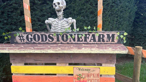 Godstone Farm