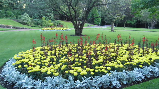 Garden of flowers at Manor Park in Glossop