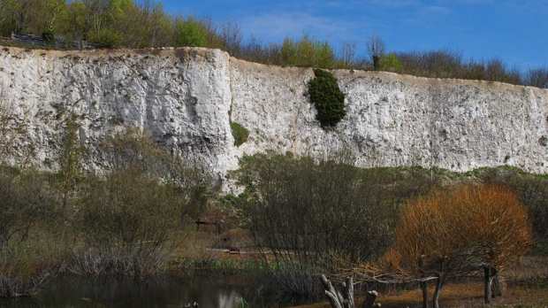 Cliff at Monkton Nature Reserve in Ramsgate