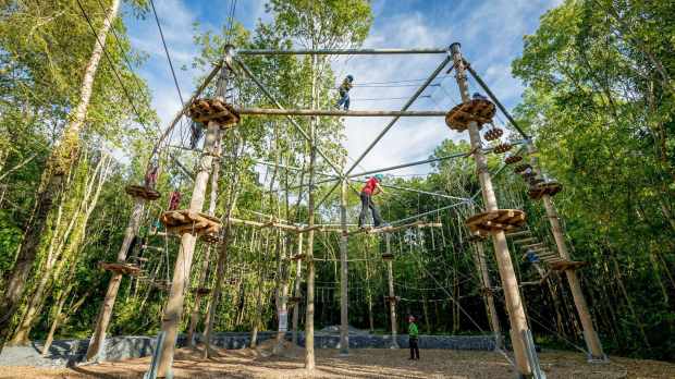 Kids on high rope course at Castlecomer Discovery Park