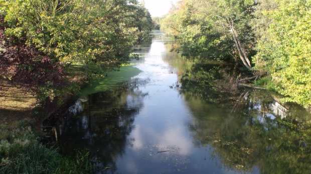 River Leam at Victoria Park Leamington Spa