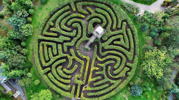 Aerial view of maze at Hidden Valley Discovery Park in Launceston