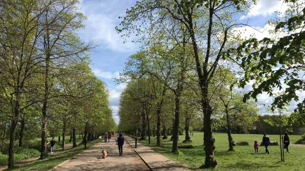 Path in Trent Park Enfield