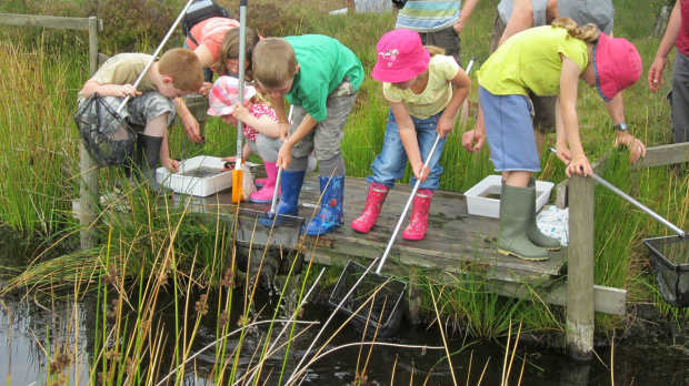 Kids fishing in pond at Greenfield Valley Heritage Park in Holywell