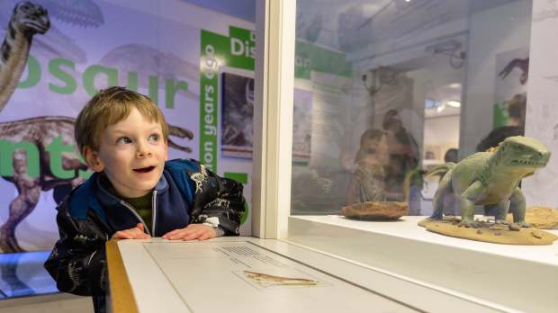Boy looking at display at Yorkshire Museum in York