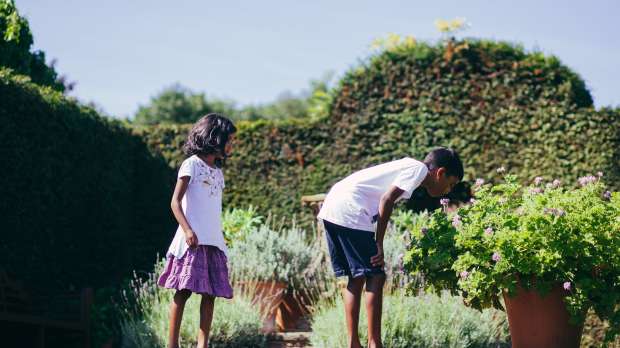 Girl and boy at Winterbourne House And Garden in Birmingham