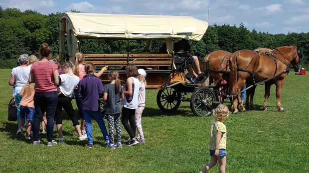 Horse and carriage at Itchen Valley Country Park in Southampton