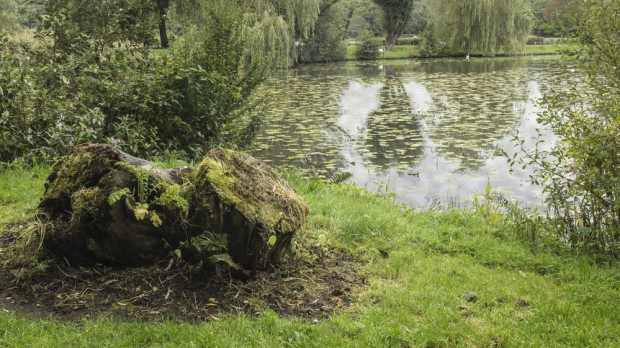 Lake at Moses Gate Country Park in Bolton