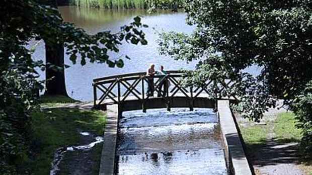Bridge at Gnoll Estate Country Park in Neath