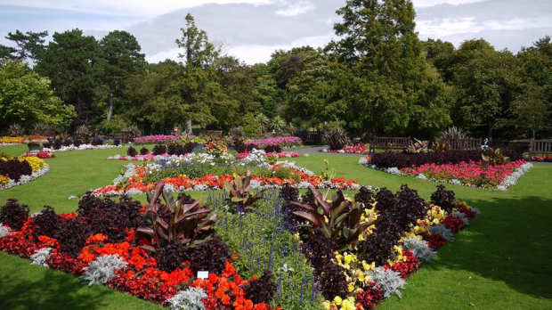 Flowers at Churchtown Botanic Gardens in Southport