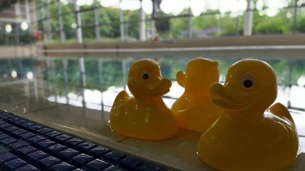 Rubber ducks by swimming pool at The Hydro in Harrogate