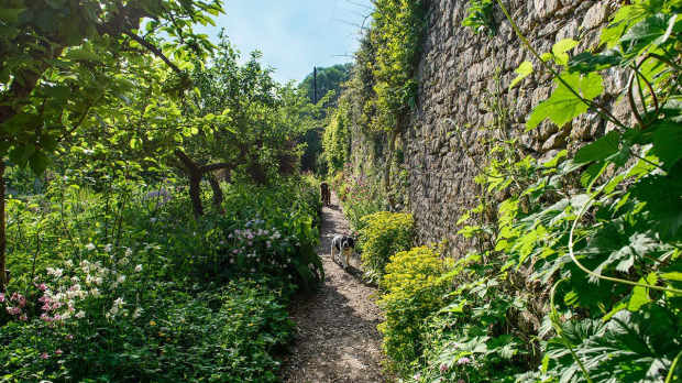 Walking path at Walled Garden at Mells
