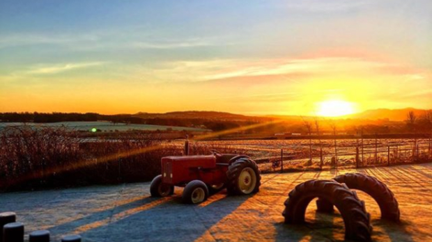 Sunrise at Craigie's Farm Shop and Cafe in Edinburgh