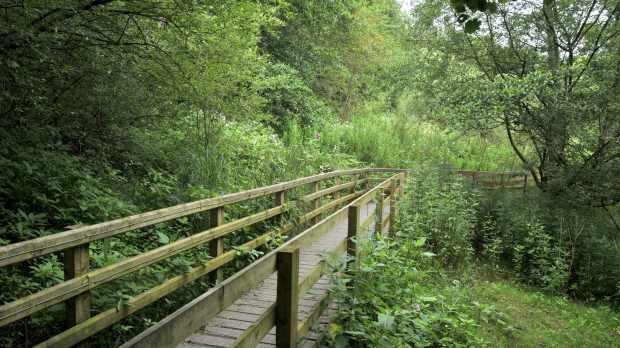 Walking path at Alyn Waters Country Park in Wrexham