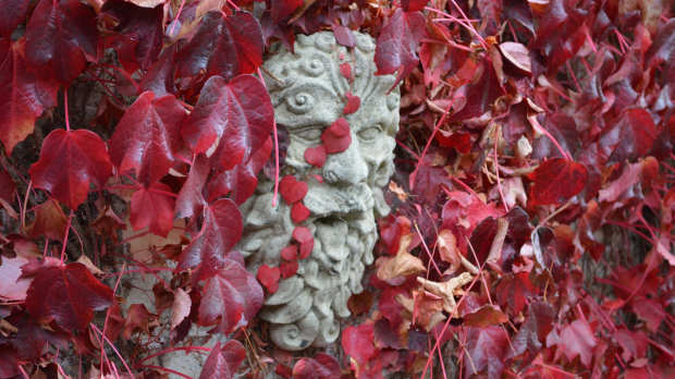 Carving on wall at Wildwood Escot in Ottery St Mary