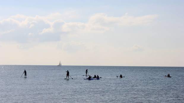 Paddle boarders at The New Forest Paddle Sport Company in Milford on Sea