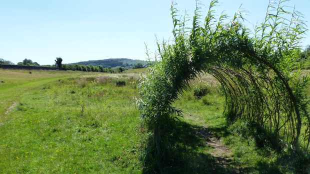 Bush tunnel at Fell Foot Park in Newby Bridge