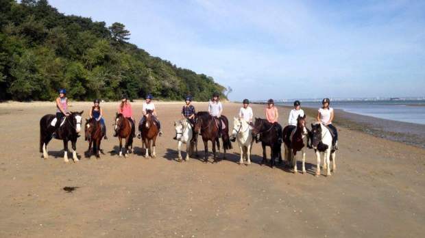People horse riding on beach at Sallys Riding School in Ryde