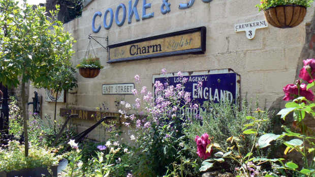 Plants at Crewkerne and District Museum