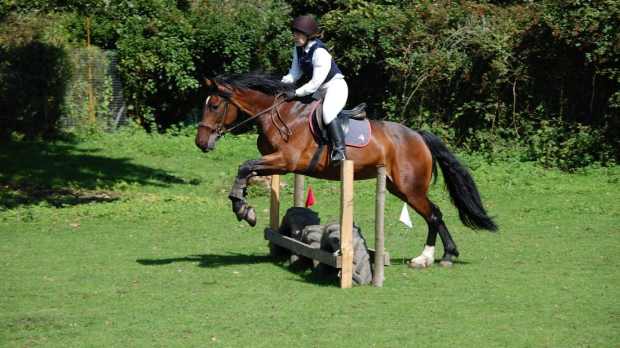 Horse and rider jumping at Arundel Riding Centre