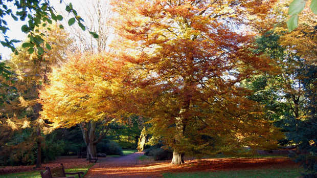Autumn at RBGE and John Hope Gateway in Edinburgh