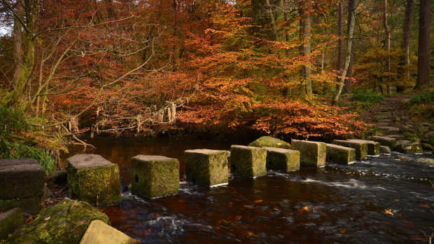 Stepping stones at Hardcastle Craggs in Hebden Bridge