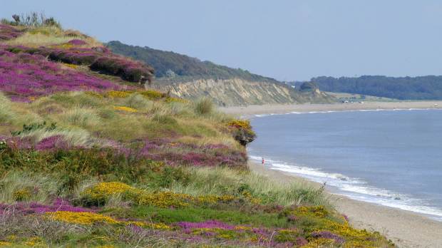 Clear day at Dunwich Heath Coastal Centre and Beach in Saxmundham