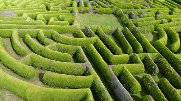Hedge maze at Kildare Maze in Naas