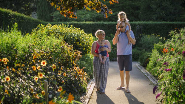 RHS Garden Rosemoor - Featured Image - 1