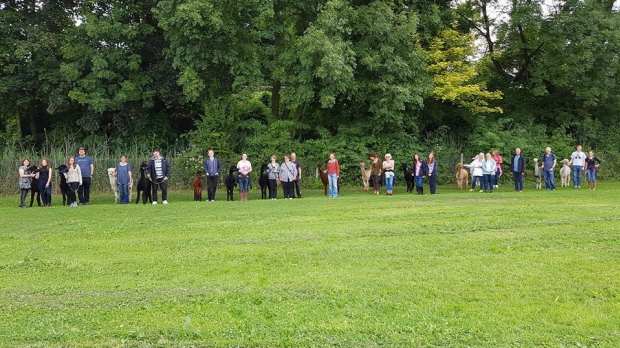 Visitors on Hensting Alpaca Walking Experience in Eastleigh
