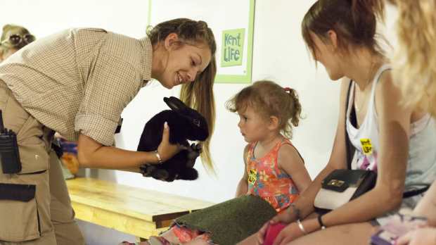 Girl looking at rabbit at Kent Life in Maidstone